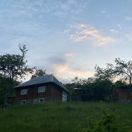 Casa Din Holiday home Musca